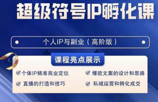 超级符号IP孵化高阶课，建立流量思维底层逻辑，打造属于自己IP（51节课）-89网创