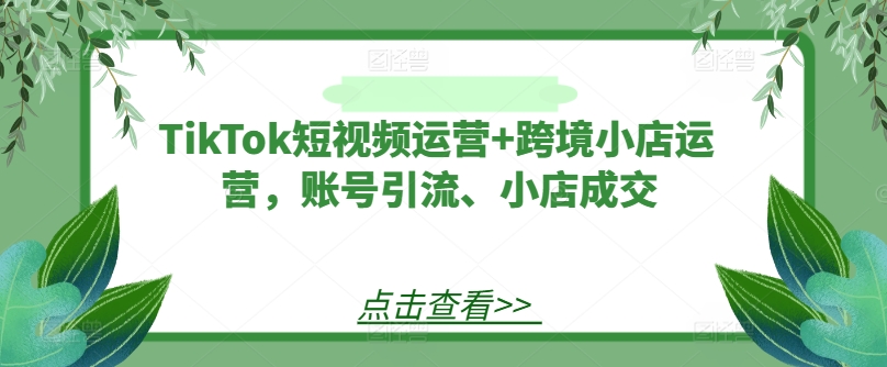 TikTok短视频运营+跨境小店运营，账号引流、小店成交-89网创