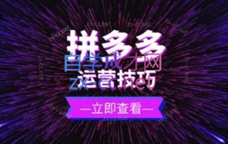 力辛电商·拼多多强付费店群玩法-89网创