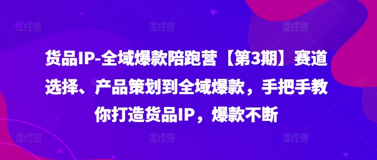 货品IP全域爆款陪跑营【第3期】赛道选择、产品策划到全域爆款，手把手教你打造货品IP，爆款不断-89网创