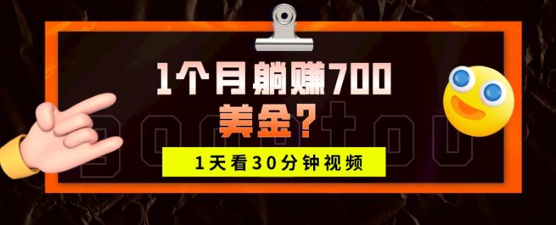 1天看30分钟视频，1个月躺赚700美金？-89网创