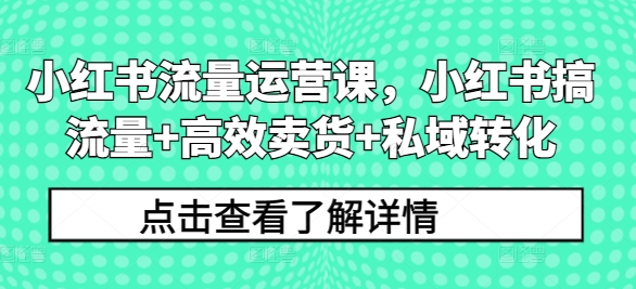 小红书流量运营课，小红书搞流量+高效卖货+私域转化-89网创