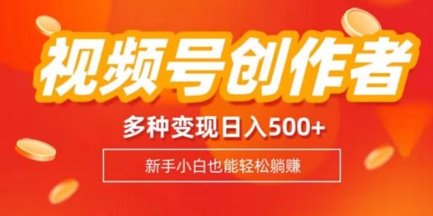 视频号创作者计划，多种变现方式，日入500+【内附1080g视频素材】-89网创