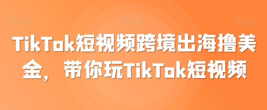 TikTok短视频跨境出海撸美金，带你玩TikTok短视频-89网创