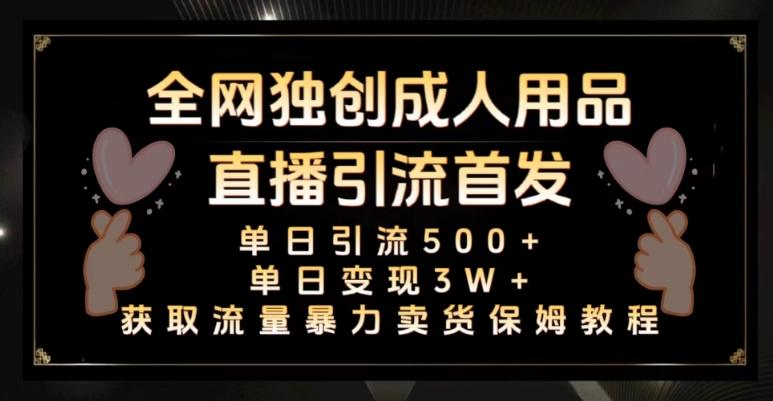 全网独创真人主播+无人直播单日引流500+，橙人用品暴力卖货单日变现3W+保姆似教学2.0【揭秘】-89网创