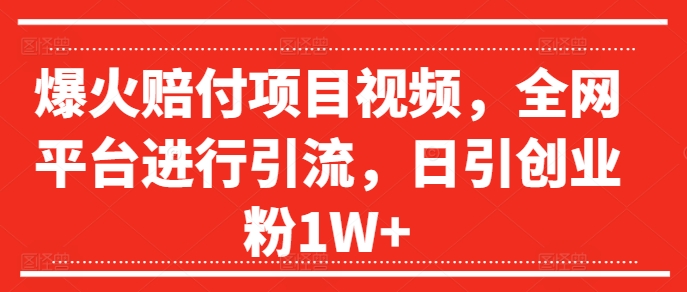 爆火赔付项目视频，全网平台进行引流，日引创业粉1W+【揭秘】-89网创