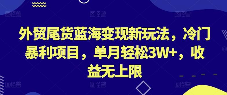 外贸尾货蓝海变现新玩法，冷门暴利项目，单月轻松3W+，收益无上限【揭秘】-89网创