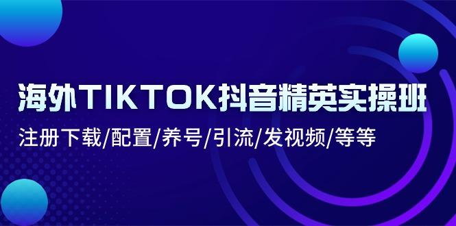 海外TIKTOK抖音精英实操班：注册下载/配置/养号/引流/发视频/等等-89网创