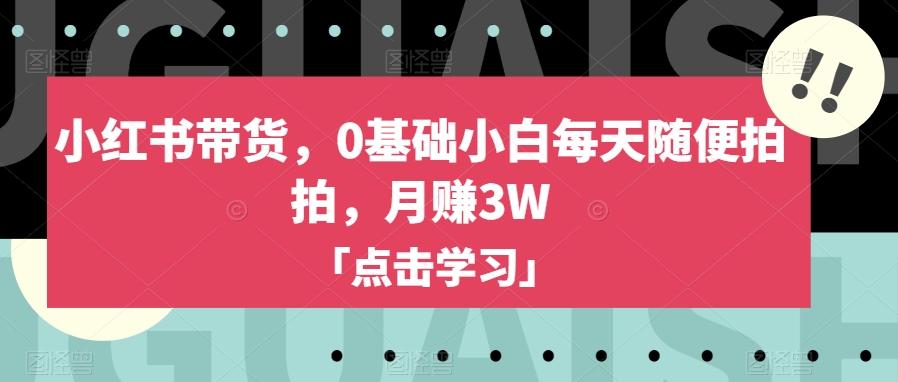 小红书带货，0基础小白每天随便拍拍，月赚3W【揭秘】-89网创