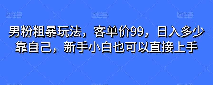 男粉粗暴玩法，客单价99，日入多少靠自己，新手小白也可以直接上手-89网创