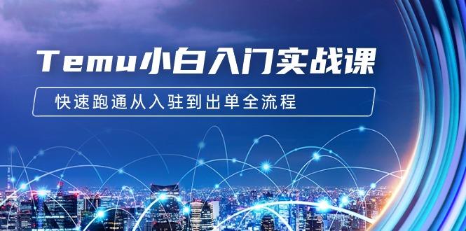 (9295期)Temu小白入门实战课：跨境拼多多电商培训 快速跑通从入驻到出单全流程-12节-89网创