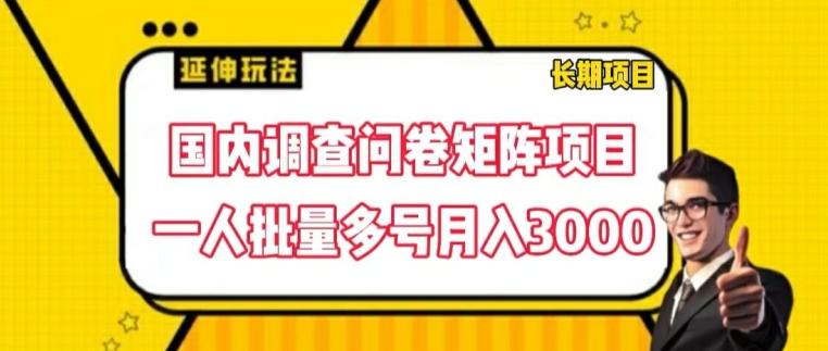 国内调查问卷矩阵项目，一人批量多号月入3000【揭秘】-89网创