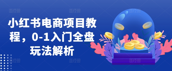 小红书电商项目教程，0-1入门全盘玩法解析-89网创
