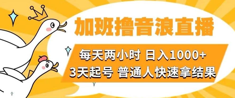 加班撸音浪直播，每天两小时，日入1000+，直播话术才3句，3天起号，普通人快速拿结果【揭秘】-89网创