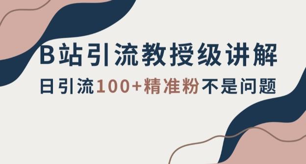 B站引流教授级讲解，细节满满，日引流100+精准粉不是问题【揭秘】-89网创