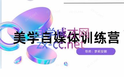 安娜·美学自媒体IP系统课-89网创