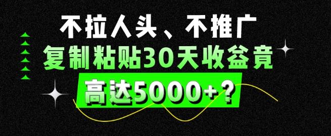 不拉人头、不推广，复制粘贴30天收益竟高达5000+？-89网创
