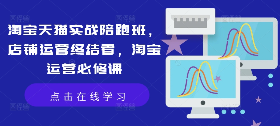 淘宝天猫实战陪跑班，店铺运营终结者，淘宝运营必修课-89网创