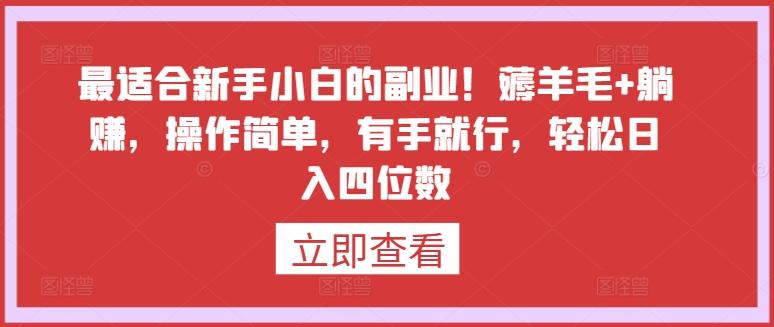最适合新手小白的副业！薅羊毛+躺赚，操作简单，有手就行，轻松日入四位数【揭秘】-89网创