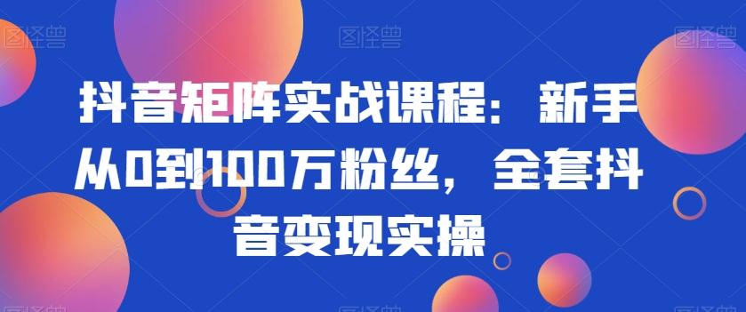 抖音矩阵实战课程：新手从0到100万粉丝，全套抖音变现实操-89网创