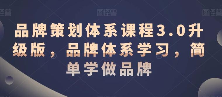 品牌策划体系课程3.0升级版，品牌体系学习，简单学做品牌-89网创