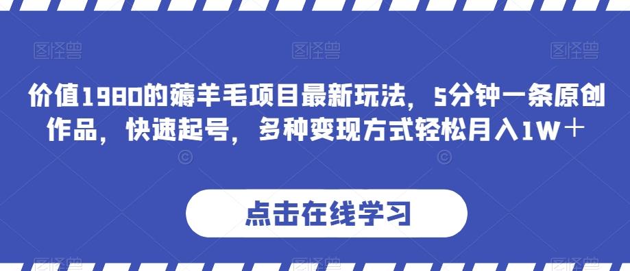 价值1980的薅羊毛项目最新玩法，5分钟一条原创作品，快速起号，多种变现方式轻松月入1W＋【揭秘】-89网创