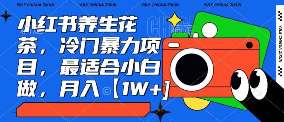 小红书养生花茶，冷门暴力项目，最适合小白做，月入【1W+】-89网创