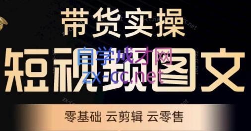鑫哥·2024零基础短视频带货实操营-89网创