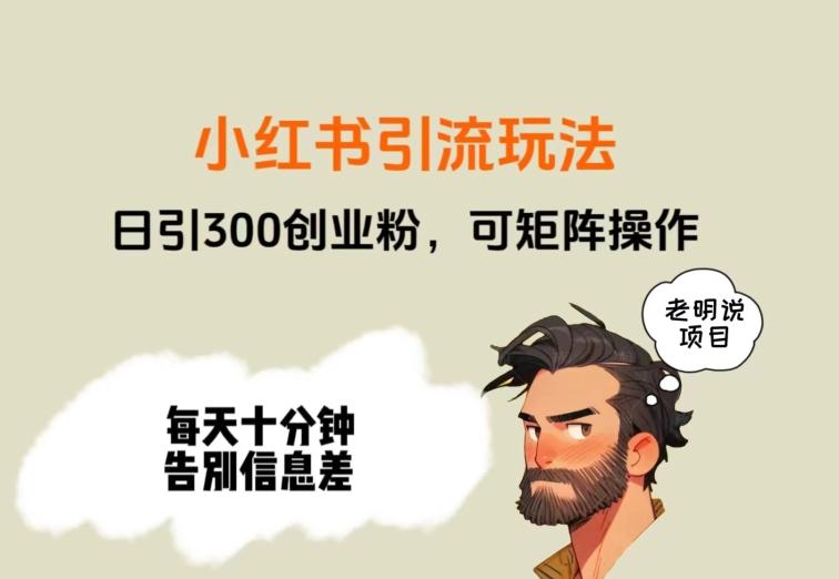 靠小红书视频日印300粉，两分钟一个视频轻松矩阵-89网创