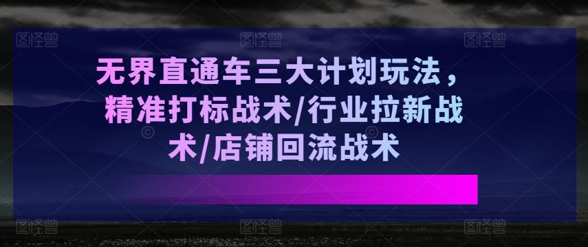 无界直通车三大计划玩法，精准打标战术/行业拉新战术/店铺回流战术-89网创