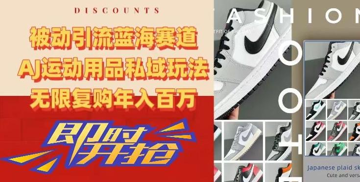 被动引流蓝海赛道，AJ运动用品私域玩法，无限复购年入百万【揭秘】-89网创