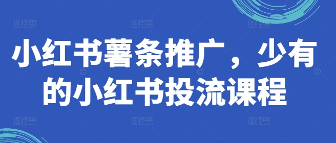 小红书薯条推广，少有的小红书投流课程-89网创