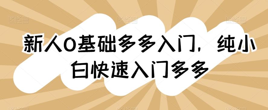 新人0基础多多入门，​纯小白快速入门多多-89网创