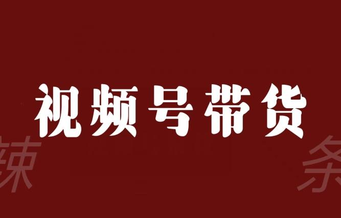 视频号带货联盟，赚信息差的带货钱，只需手机随时随地都可以做！-89网创