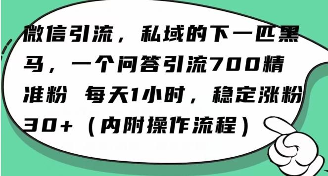 怎么搞精准创业粉？微信新赛道，每天一小时，利用Ai一个问答日引100精准粉-89网创