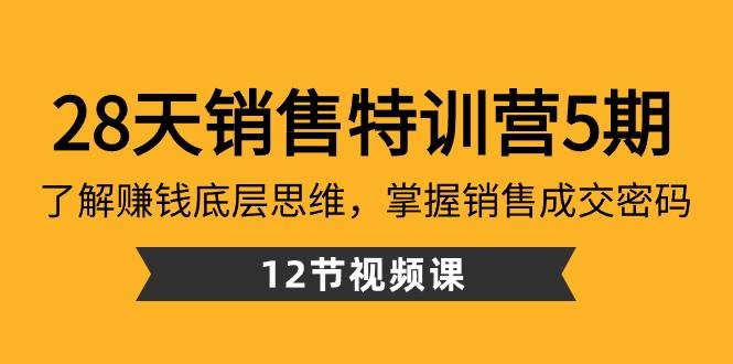 28天销售特训营5期：了解赚钱底层思维，掌握销售成交密码（12节课）-89网创