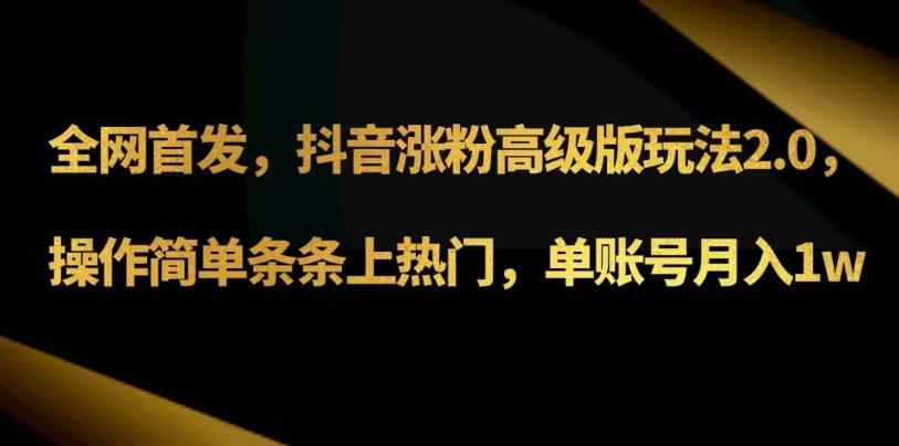 抖音涨粉高级版玩法3.0，操作简单条条上热门，单账号月入1w可批量矩阵（附1500素材）-89网创