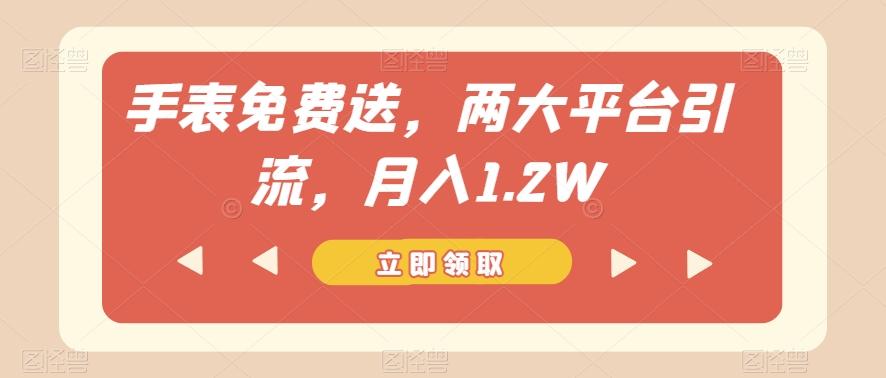 手表免费送，两大平台引流，月入1.2W【揭秘】-89网创