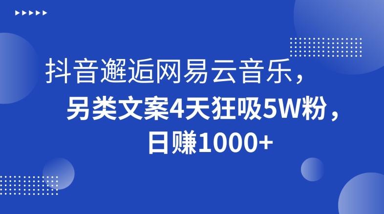 抖音邂逅网易云音乐，另类文案4天狂吸5W粉，日赚1000+【揭秘】-89网创