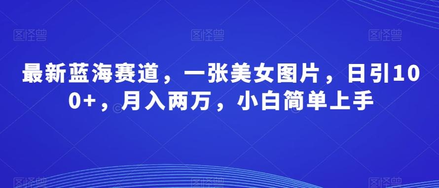 最新蓝海赛道，一张美女图片，日引100+，月入两万，小白简单上手-89网创
