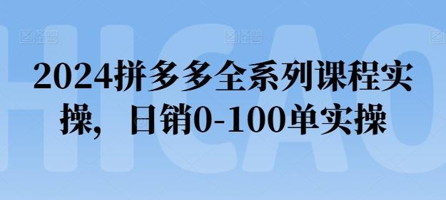 2024拼多多全系列课程实操，日销0-100单实操【必看】-89网创