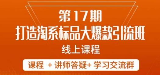 南掌柜-第17期打造淘系标品大爆款，5天线上课-89网创