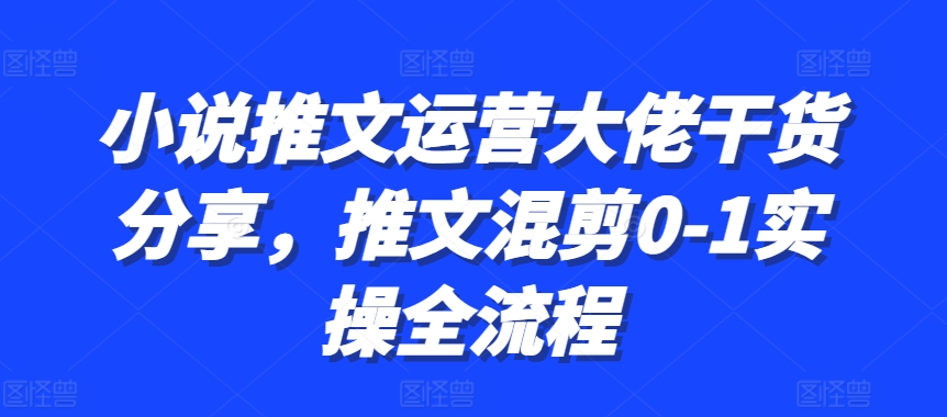 小说推文运营大佬干货分享，推文混剪0-1实操全流程-89网创