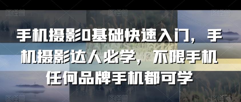 手机摄影0基础快速入门，手机摄影达人必学，不限手机任何品牌手机都可学-89网创