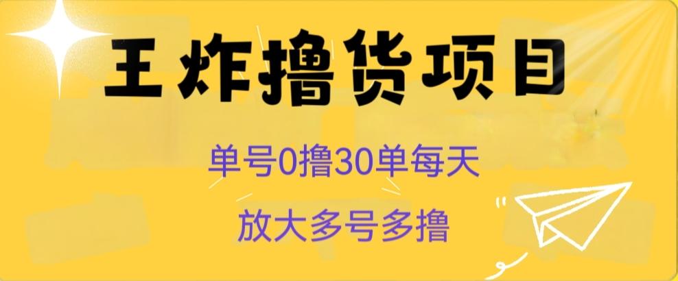 王炸撸货项目，单号0撸30单每天，多号多撸【揭秘】-89网创