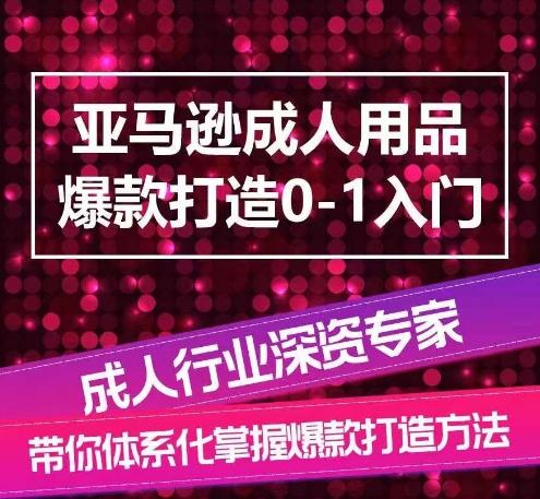 亚马逊成人用品爆款打造0-1入门，系统化讲解亚马逊成人用品爆款打造的流程-89网创