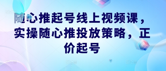 随心推起号线上视频课，实操随心推投放策略，正价起号-89网创