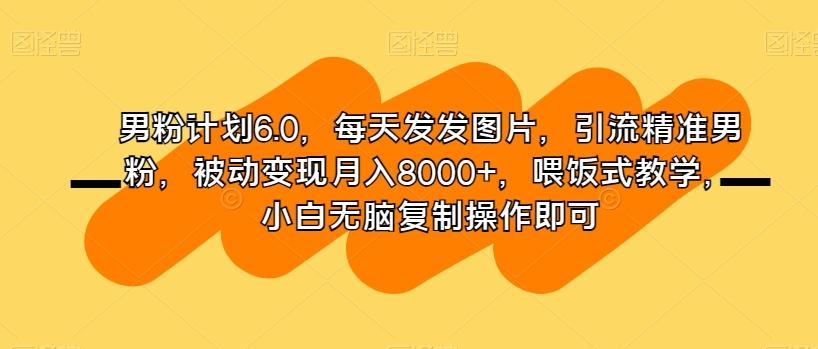 男粉计划6.0，每天发发图片，引流精准男粉，被动变现月入8000+，喂饭式教学，小白无脑复制操作即可-89网创