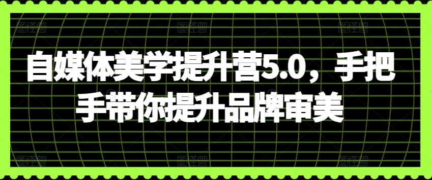 自媒体美学提升营5.0，手把手带你提升品牌审美-89网创