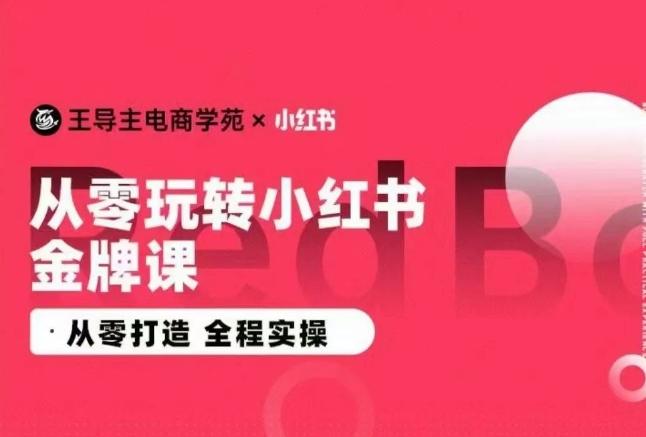 王导主·小红书电商运营实操课，​从零打造  全程实操-89网创